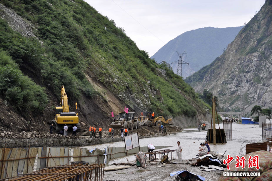 金蒼耳，喝過的都來說說。要‘火’的茶，為啥我喝不出來呢
